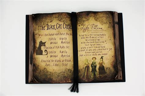 Unravel the Secrets of Witchcraft with the Hocus Pocus Spell Book
